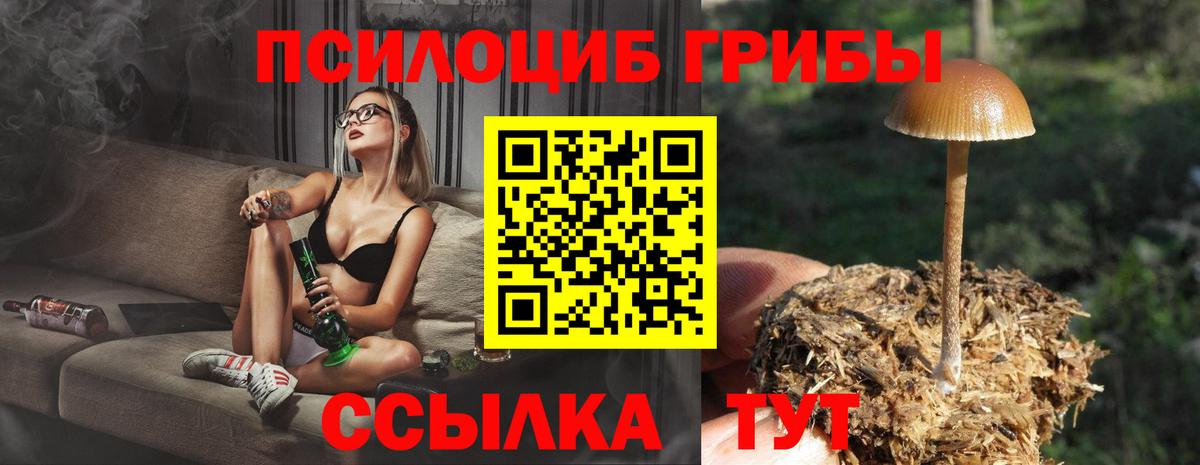 дарнет шоп  Псилоцибиновые грибы мухоморы  Вход с VPN  Кандалакша 