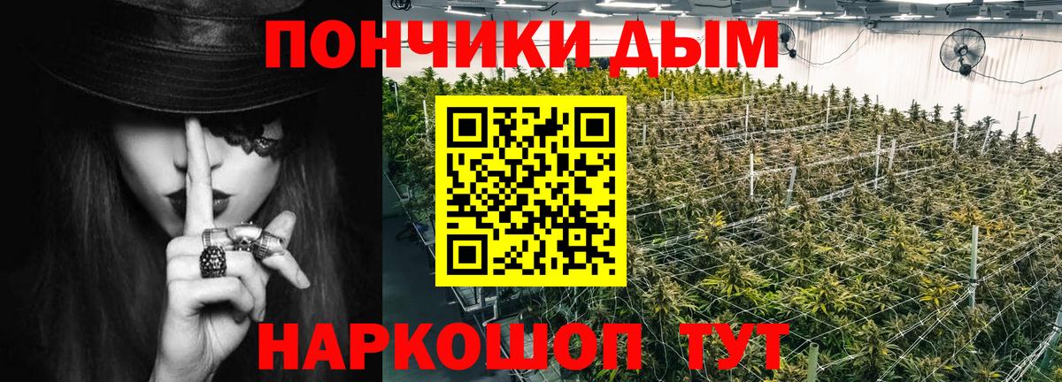 МАРИХУАНА ГИДРОПОН Кандалакша